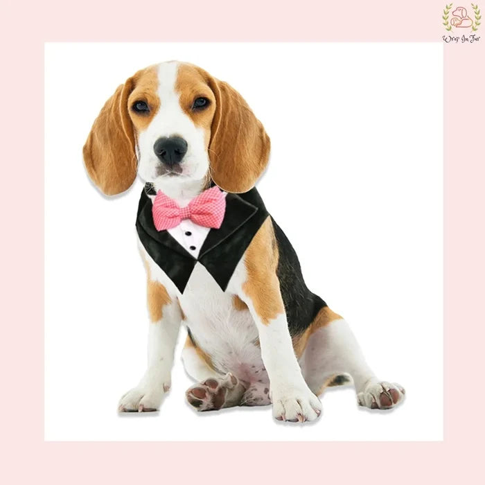 Luxury Black Velvet Tuxedo Style Dog Bandana - Wedding Accessory