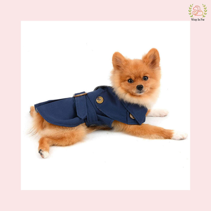 Luxury Blue Dog Winter Coat – Warm, Stylish & Premium Fit