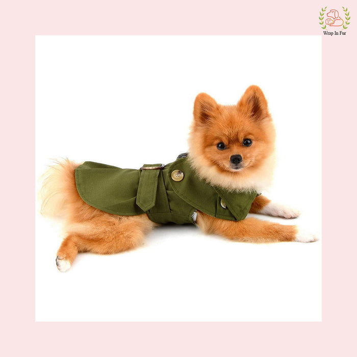 Luxury Green Dog Winter Coat – Warm, Stylish & Premium Fit