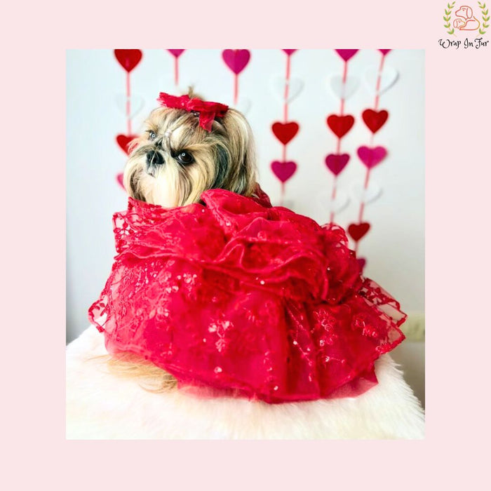 Luxury Red Lace Ruffled Dog Dress - Princess Wedding Gown