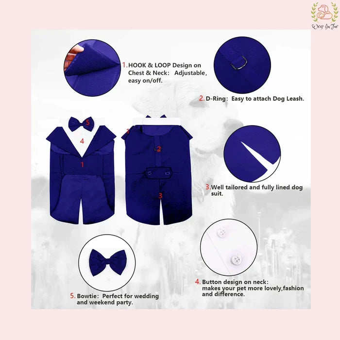 Luxury Royal Blue Velvet Dog Tuxedo Suit | Formal Wedding Cape