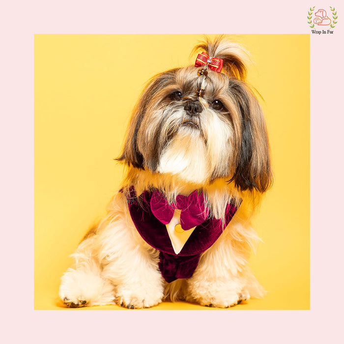 Luxury Wine Velvet Dog Tuxedo Vest - Formal Wedding Suit