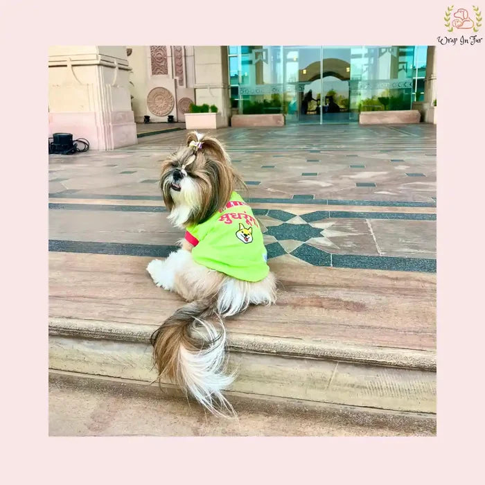 Dog Slogan T-Shirts