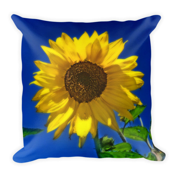 Maize 'N Blue Throw Pillow