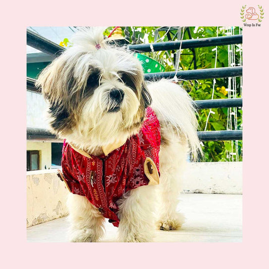 Maroon Ikat Dog Kurta - Premium Indian Traditional Dog Kurta Dress