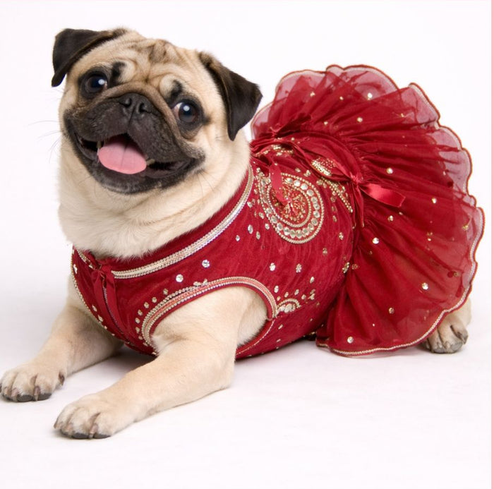 Maroon Mirror Work Dog Lehenga – Luxury Dog Wedding Dress