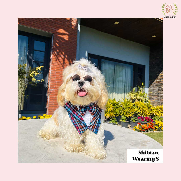Midnight Plaid Tuxedo Style Dog Bandana - Formal Wedding Accessory