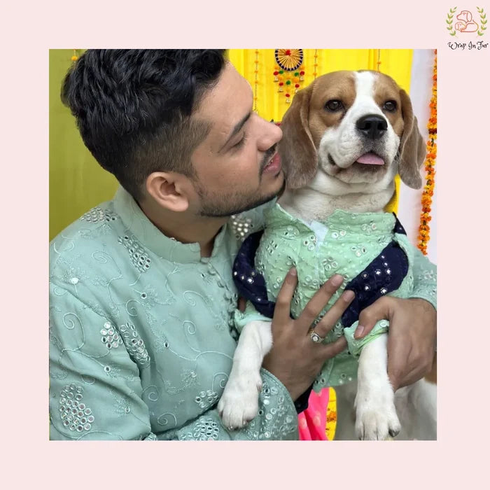 Mint Green Mirror Work Dog Kurta with Navy Dupatta - Indian Dog Ethnic Wear