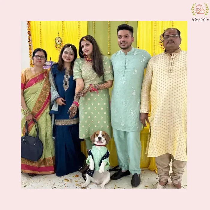 Mint Green Mirror Work Dog Kurta with Navy Dupatta - Indian Dog Ethnic Wear