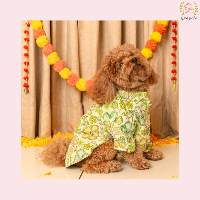 Minty Floral Dog Kurta - Royal Indian Dog Ethnic Wear Dress