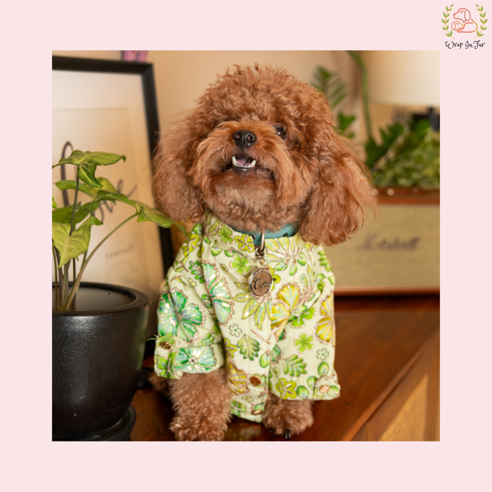 Minty Floral Dog Kurta - Royal Indian Dog Ethnic Wear Dress