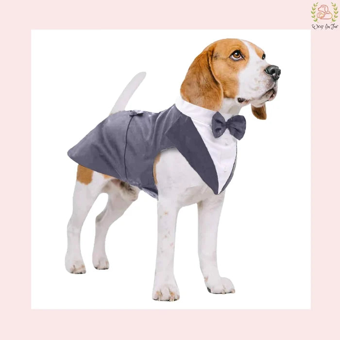 Modern Grey Dog Tuxedo Cape - Formal Wedding Vest Suit