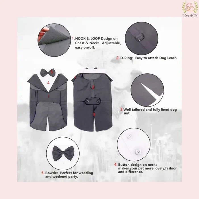 Modern Grey Dog Tuxedo Cape - Formal Wedding Vest Suit