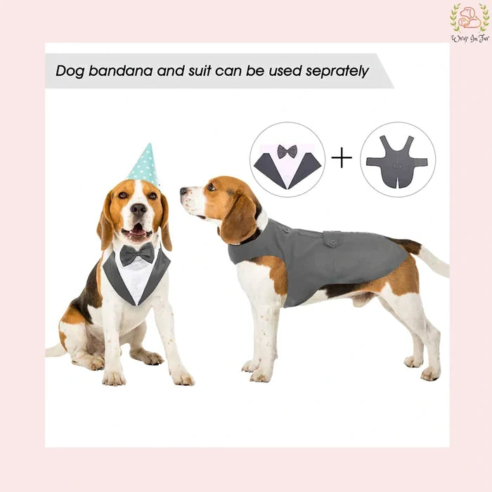 Modern Grey Dog Tuxedo Cape - Formal Wedding Vest Suit
