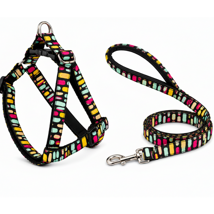 Multicolor Dog Harness with Leash