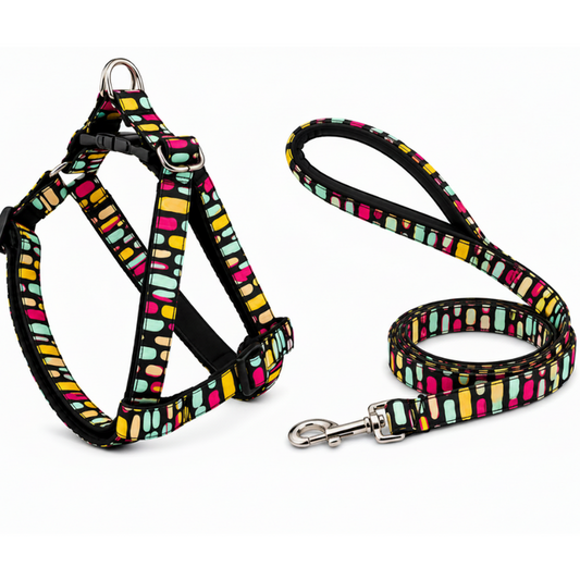 Multicolor Dog Harness with Leash