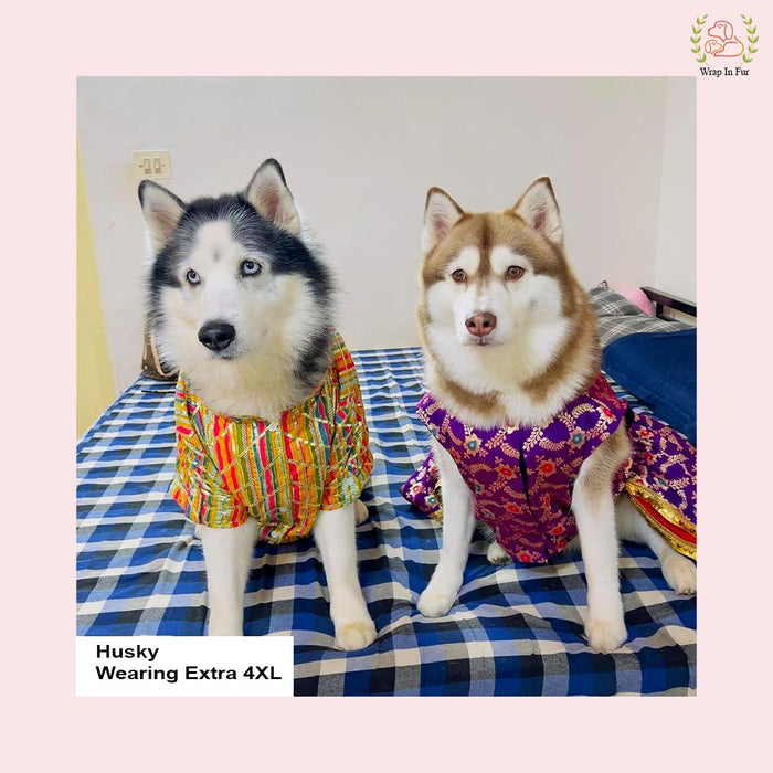 Multicolor Gota Dog Kurta - Premium Indian Dog Ethnic Wear