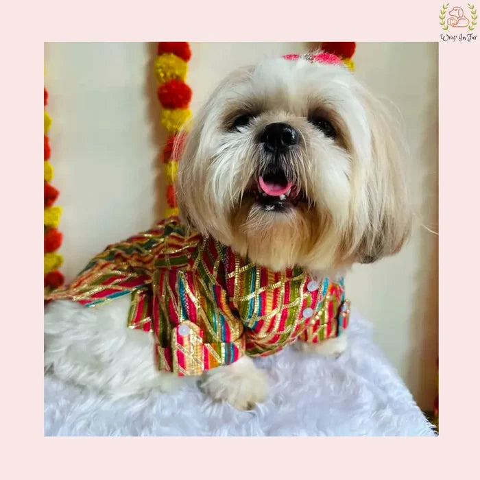 Multicolor Gota Dog Kurta - Premium Indian Dog Ethnic Wear