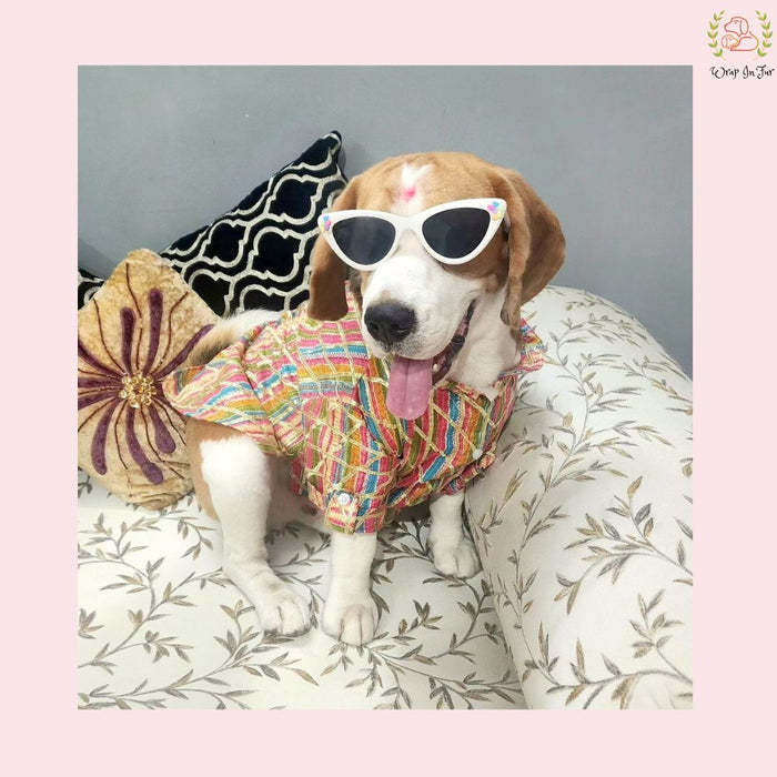 Multicolor Gota Dog Kurta - Premium Indian Dog Ethnic Wear