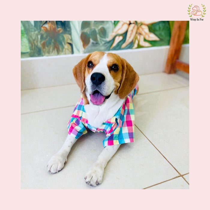 Multicolor Shirt Dog shirt