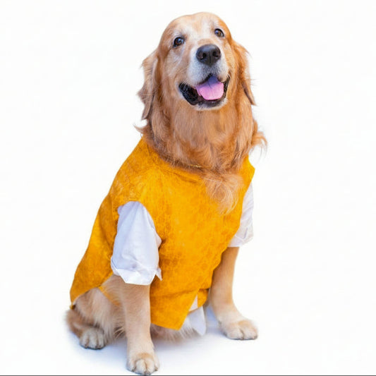Mustard Yellow Jacket Dog Kurta Set