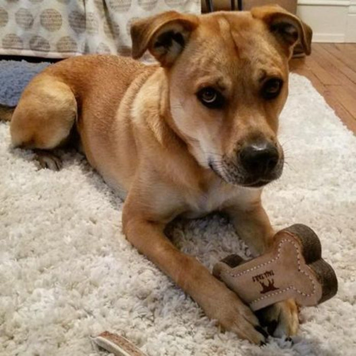 Natural Leather & Wool Bone Dog Toy