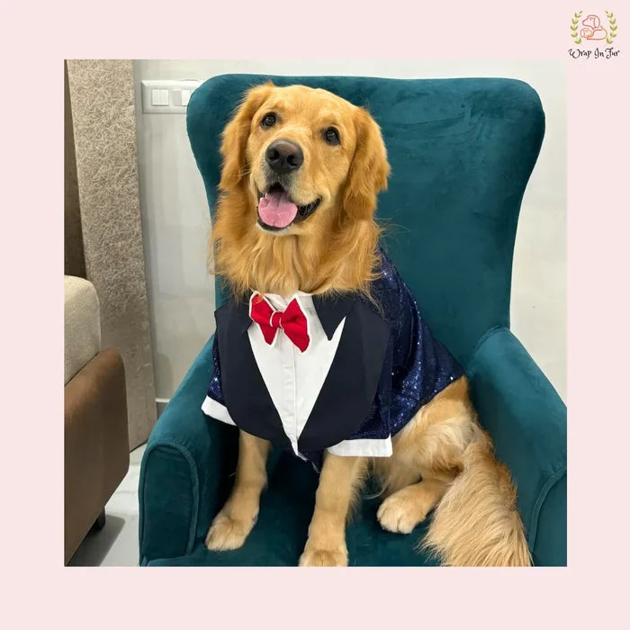 Navy Blue Sequin Dog Tuxedo Jacket - Glamorous Wedding Formal Suit
