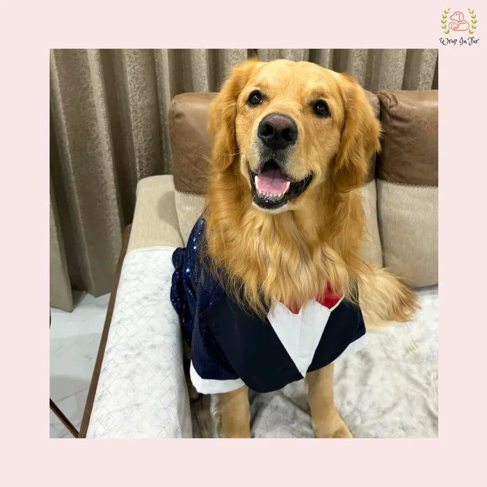 Navy Blue Sequin Dog Tuxedo Jacket - Glamorous Wedding Formal Suit