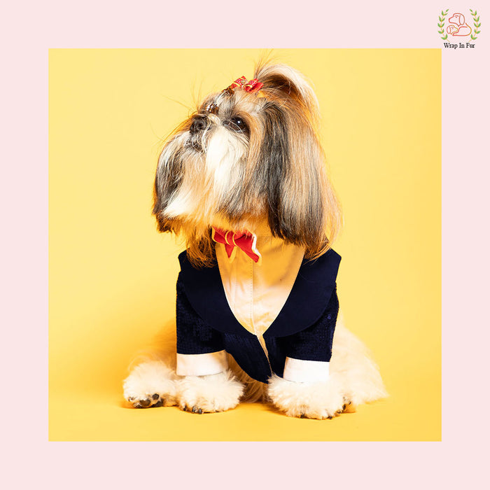 Navy Blue Sequin Dog Tuxedo Jacket - Glamorous Wedding Formal Suit