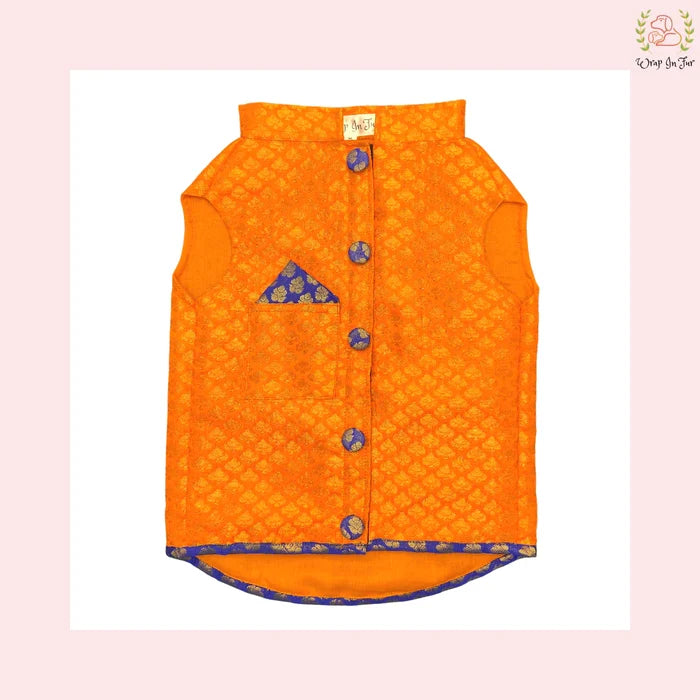 Orange britney dog sherwani