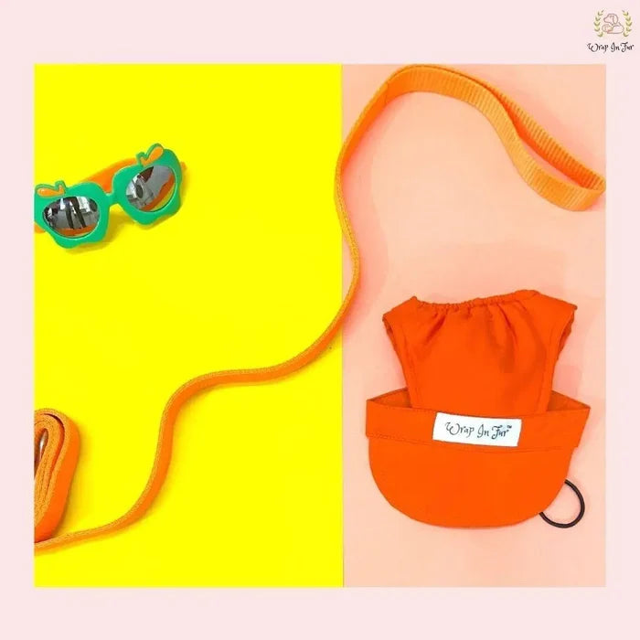 orange cap for dog