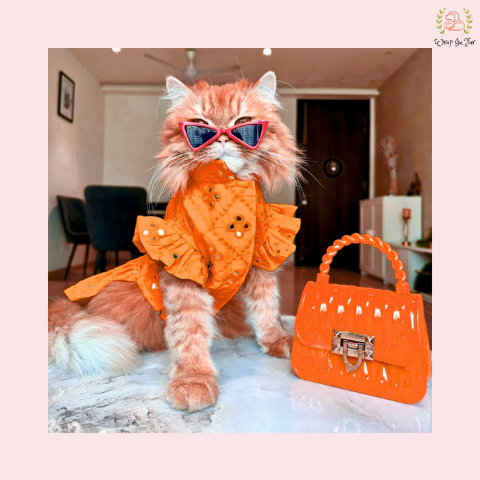 Orange Mirror Dog Frock – Designer Dog Wedding Dress