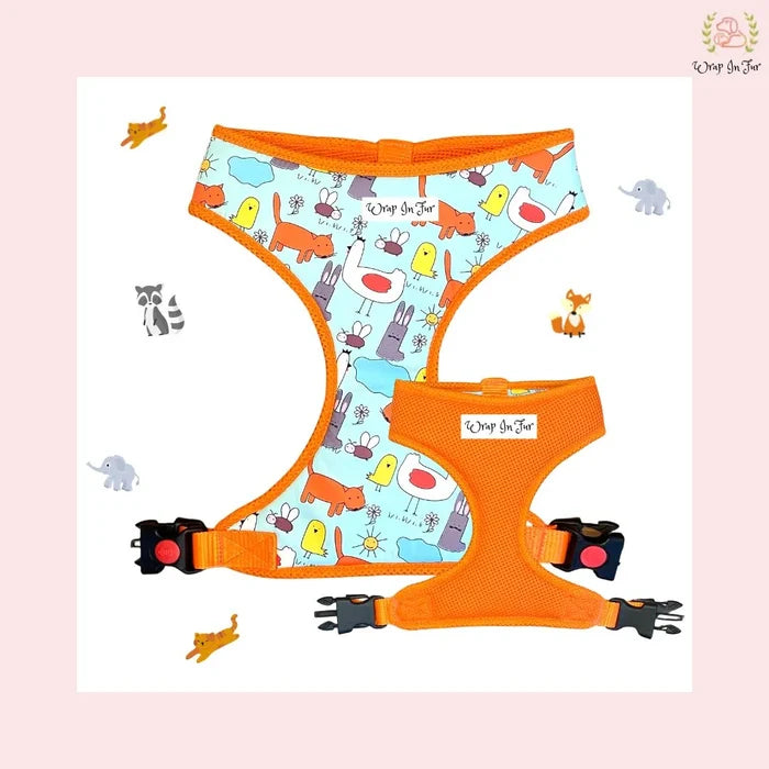 dog harness India