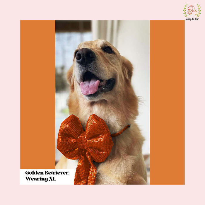 Orange Sequin Dog Bow - Sparkly Holiday Dog Accessory for Pets