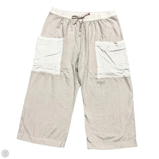 Pants Cargo & Utility By Torrid In Mauve, Size: 4x