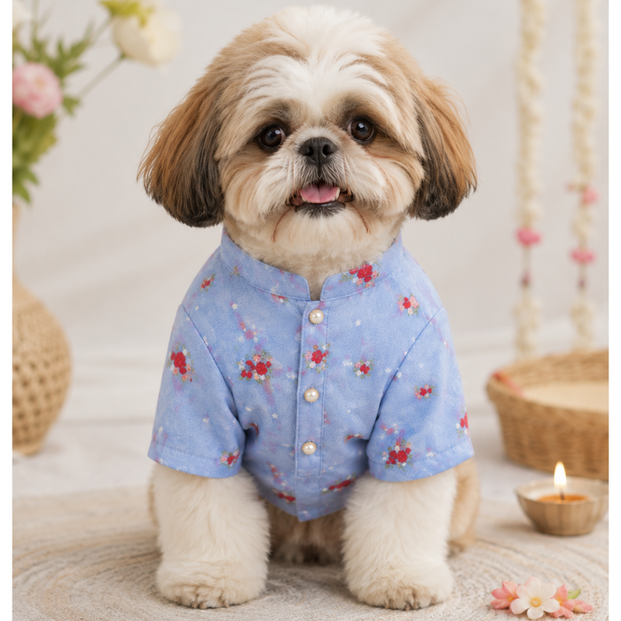 Pastel Blue Embroidered Dog Kurta