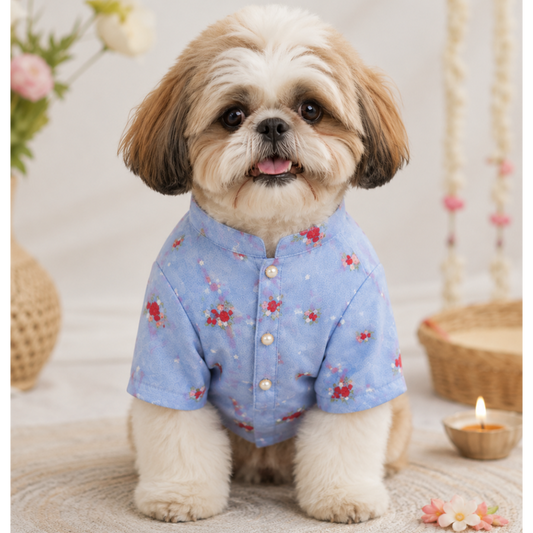 Pastel Blue Embroidered Dog Kurta