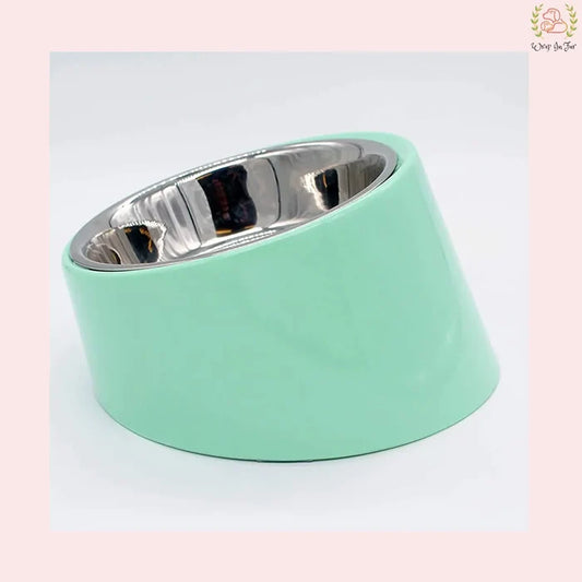 Pastel Green Slanted Dog Bowl