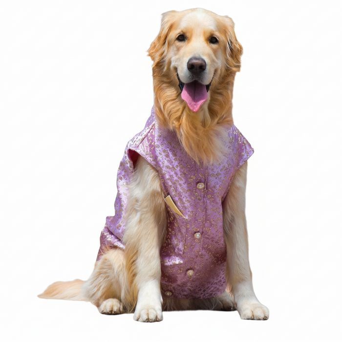 Pastel Purple Dog Sherwani