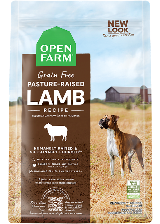Pasture-Raised Lamb Grain Free Dog Food
