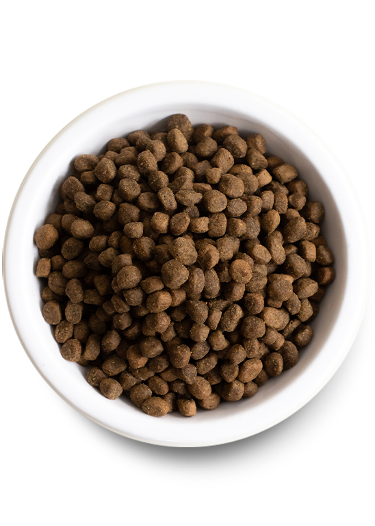 Pasture-Raised Lamb Grain Free Dog Food
