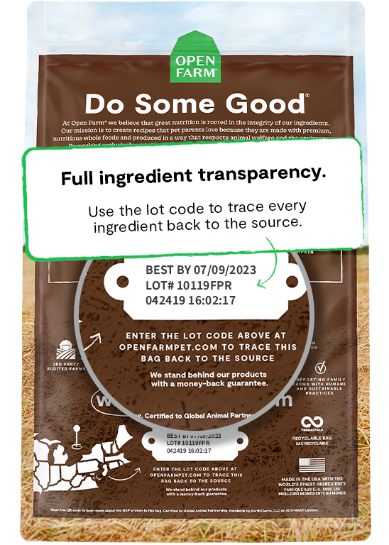 Pasture-Raised Lamb Grain Free Dog Food