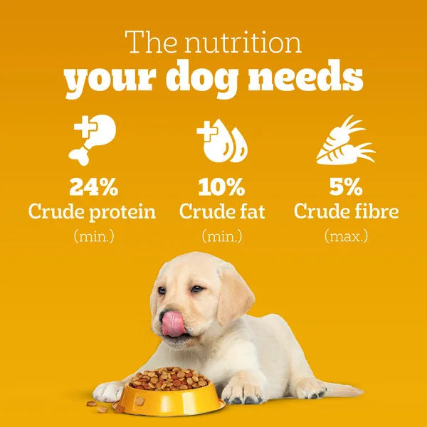Pedigree Chicken & Milk Puppy Dry Food for Dogs