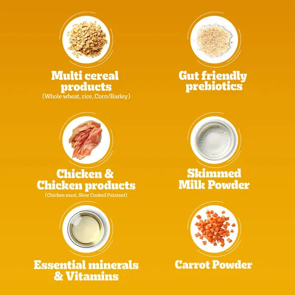 Pedigree Chicken & Milk Puppy Dry Food for Dogs