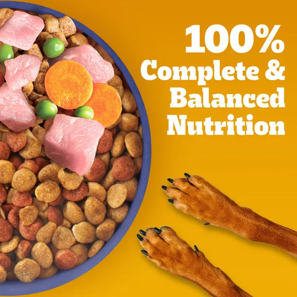 Pedigree Chicken & Milk Puppy Dry Food for Dogs