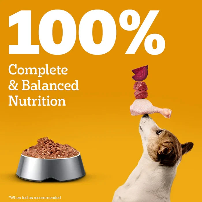 Pedigree Puppy Chicken & Liver Chunks in Gravy Wet Dog Food - 130g