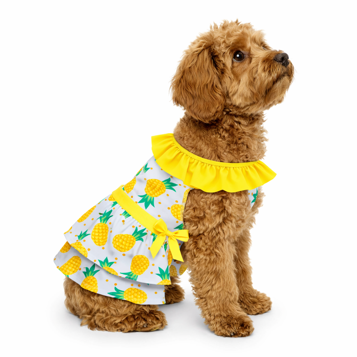 Pineapple Dog Frock