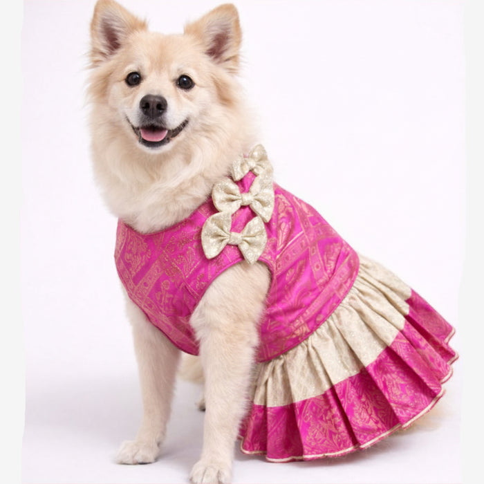 dog lehenga