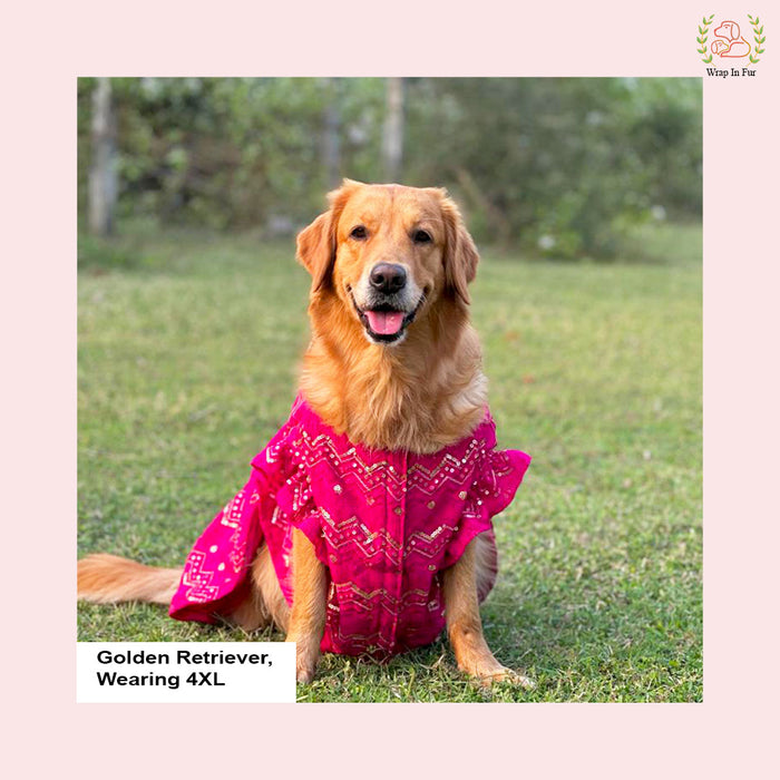 Pink Dog Wedding Lehenga – Bridal Dog Outfit for Special Occasions