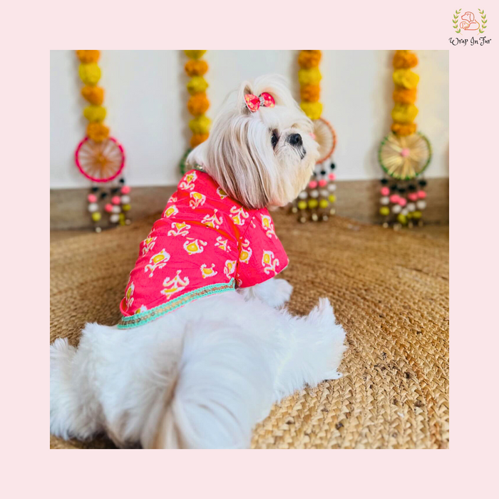 Pink Flamingo Dog Angarkha Kurta - Traditional Indian Dog Ethnic Wear